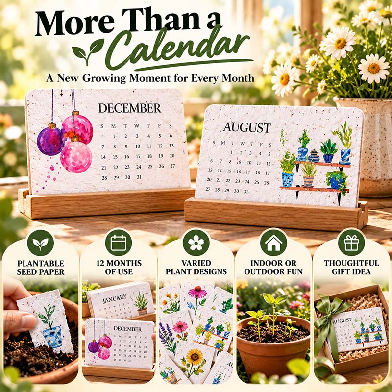 🌱IEY® 2027 Plantable Calendar – Use It. Plant It. Watch It Grow.☀