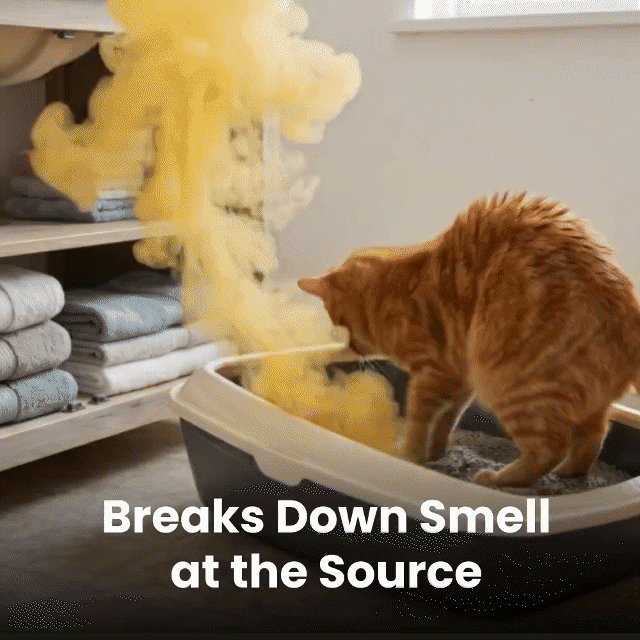 💥Last day 50% off丨 REBYIPO® UV-C molecular-level pet odor eliminator eliminates odors at the source—no sprays or filter cartridges required
