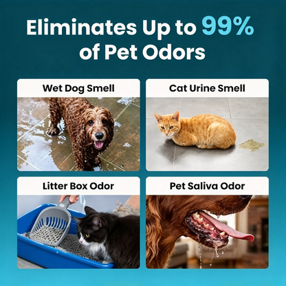 💥Last day 50% off丨 REBYIPO® UV-C molecular-level pet odor eliminator eliminates odors at the source—no sprays or filter cartridges required