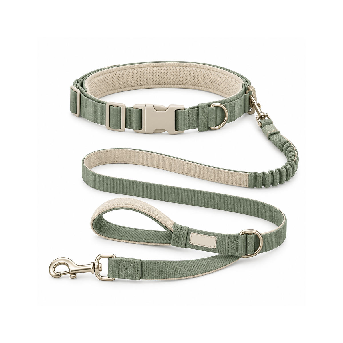 Hands-Free Pet Leash
