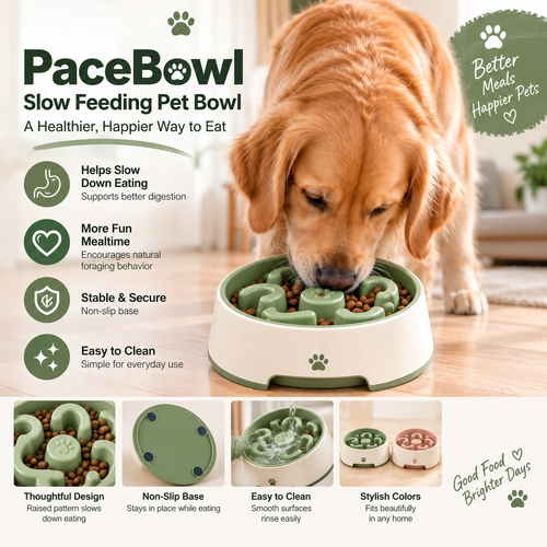Slow-feeder pet bowl